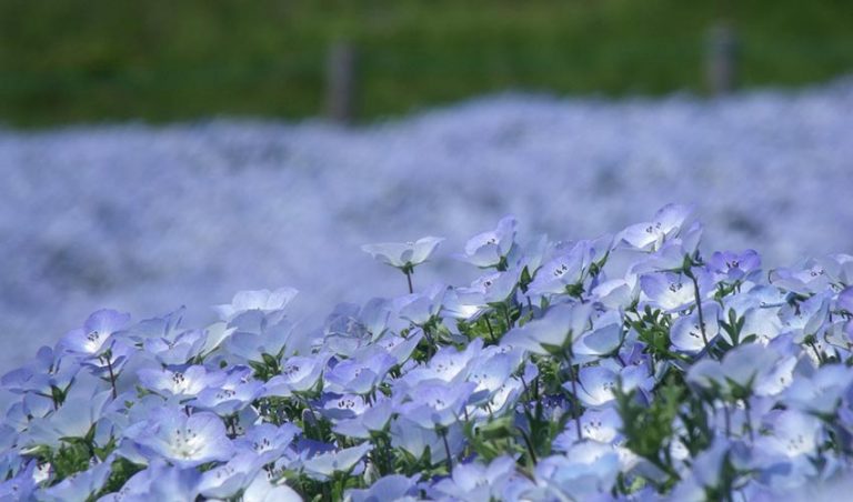 茨城県にある人工妊娠中絶病院産婦人科